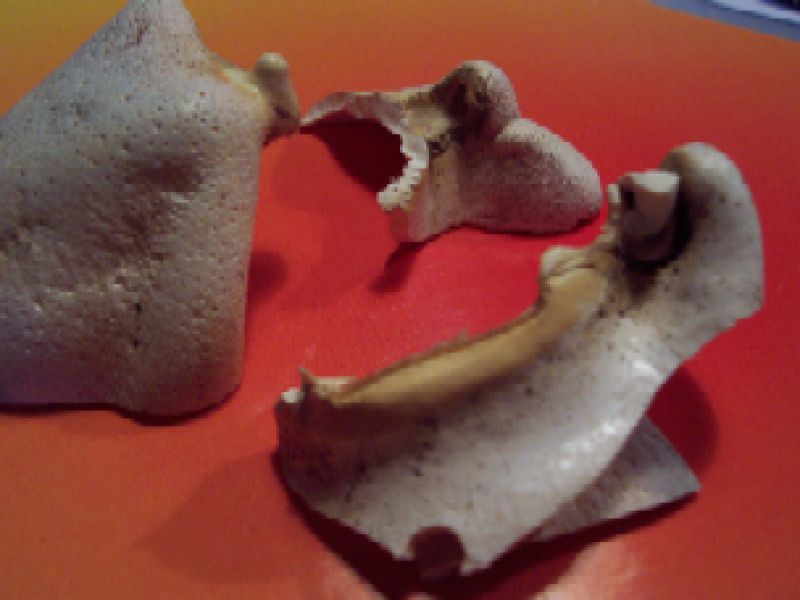 image011.png